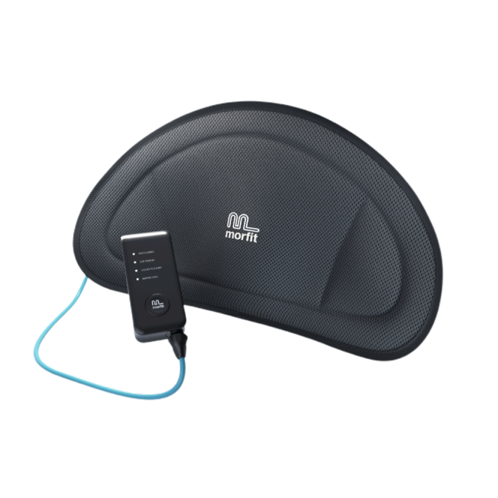 Morfit Electric Adjustable Lumbar Support
