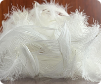 FeatherForme™ Pillow